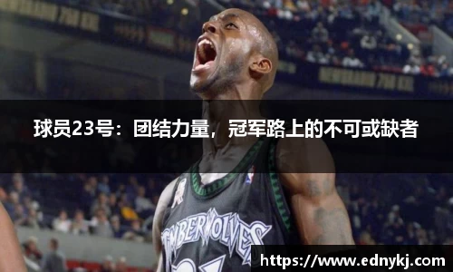 球员23号：团结力量，冠军路上的不可或缺者