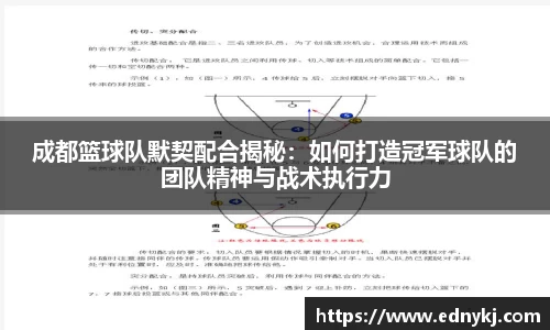 成都篮球队默契配合揭秘：如何打造冠军球队的团队精神与战术执行力