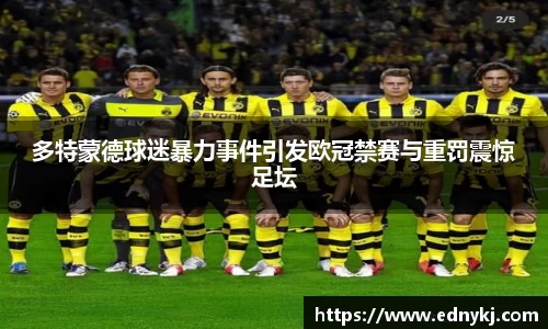 多特蒙德球迷暴力事件引发欧冠禁赛与重罚震惊足坛
